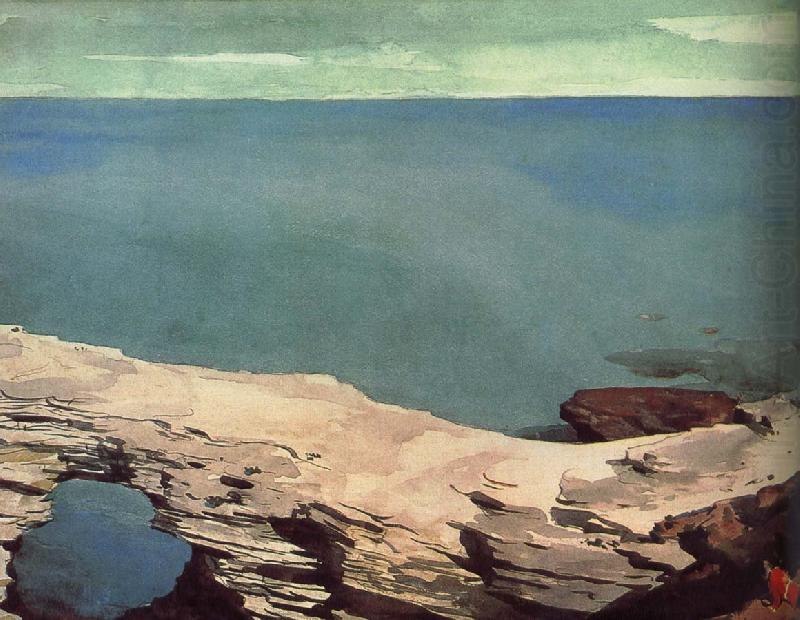 Winslow Homer Natural Bridge china oil painting image